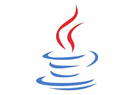 Java Runtime Environment 11 (JRE)