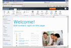 Microsoft Office SharePoint Workspace 2010