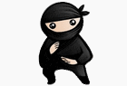 System Ninja