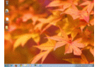 Thème pour Windows 7 : Fleurs et feuillages