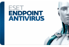 ESET EndPoint Antivirus