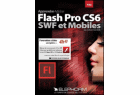 Formation Flash CS6 - SWF et Mobile