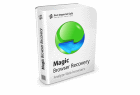 Magic Browser Recovery