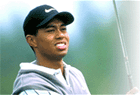 Tiger Woods PGA TOUR Golf