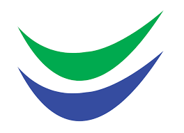 ViceVersa PRO