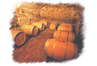 EuroThink Cave à vin