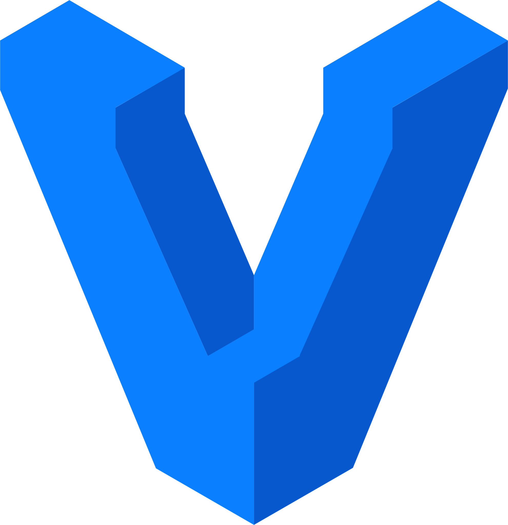 Vagrant