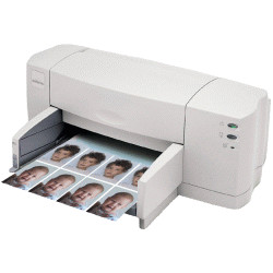 Passport Photo