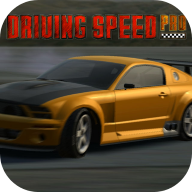 Driving Speed 2