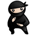 System Ninja
