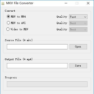 MKV File Converter