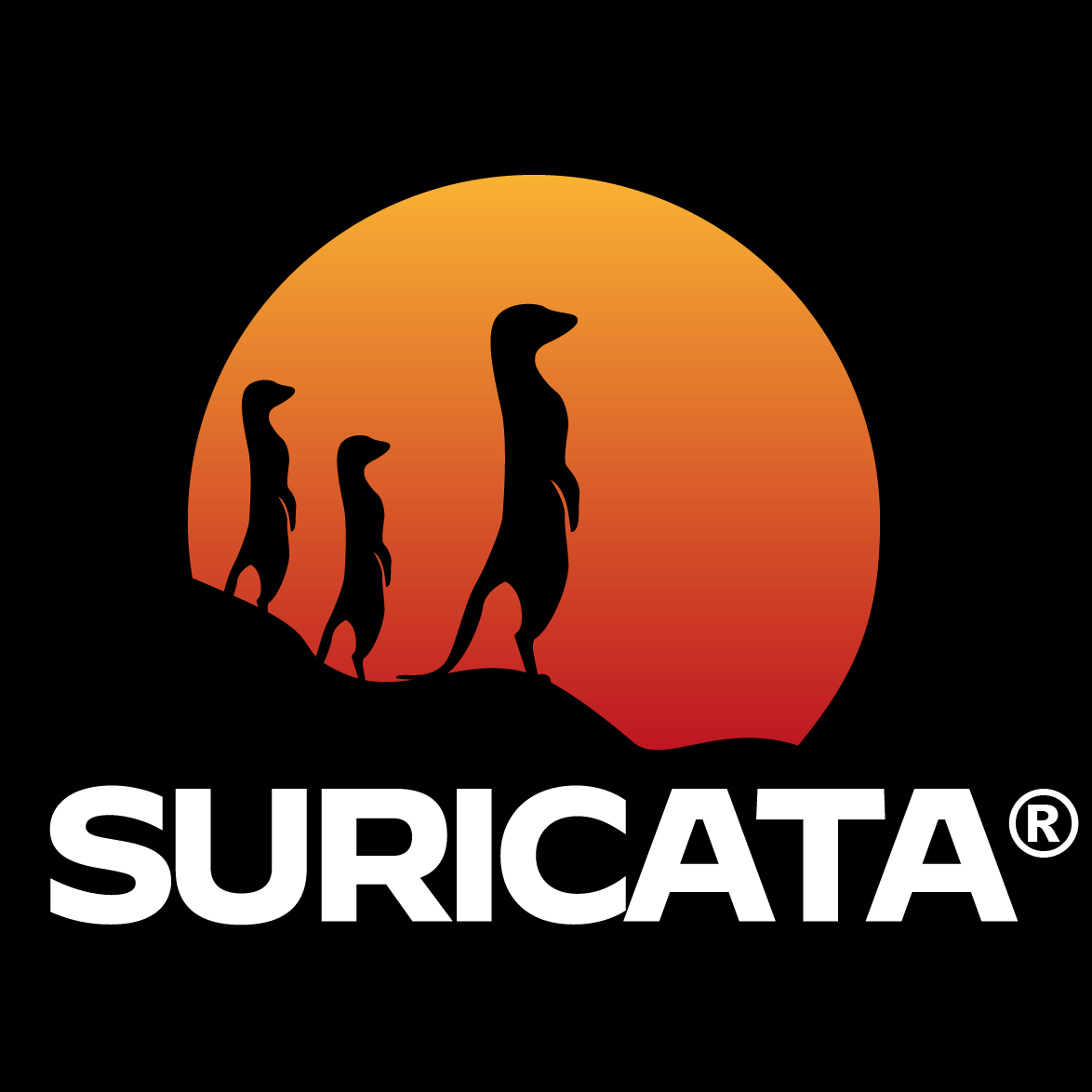 Suricata